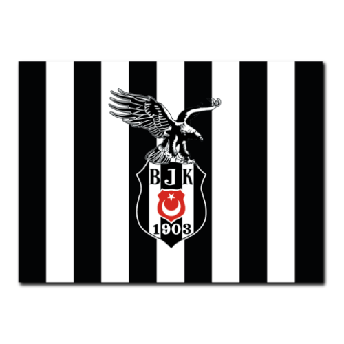 Beşiktaş Lisanlı Çubuklu Kartal Logo Amerikan Servis